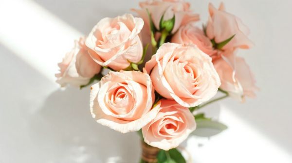 Découvrez nos bouquets de roses roses, fraîcheur et rapidité assurées